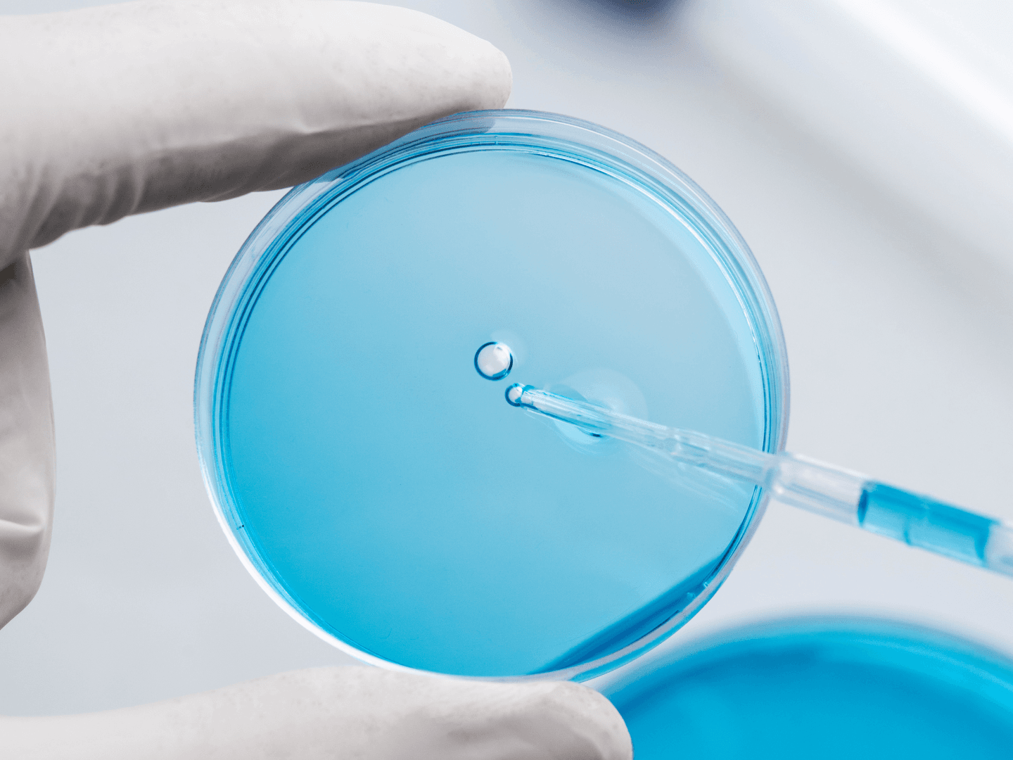 Fertilização in Vitro